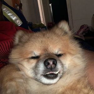 Meet your Posher, Ramiro